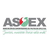 Asoex