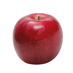 Crimson apple