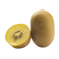 jingold kiwi