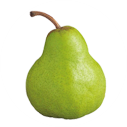 packham pear