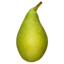 qutee pear