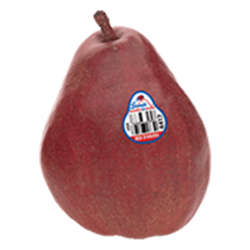 red_anjou pear