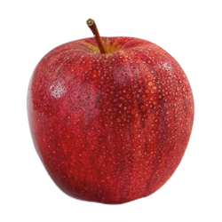 royal_gala_apple