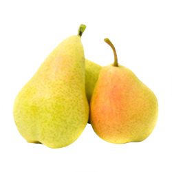 vermont pear