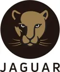 Jaguar Jaguar
