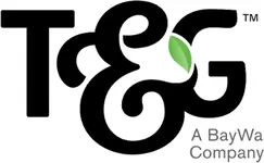T&G T&G